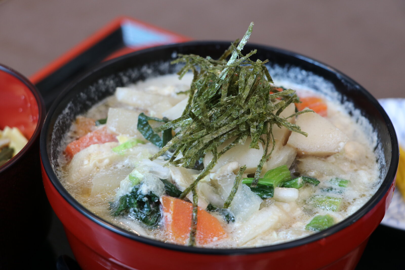 根菜の入った温かいうどん。写真はしっぽくうどんではなく、神奈川県鎌倉市の店のけんちんうどん